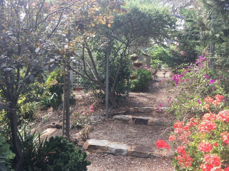 6 Hillside Court, Mount Barker SA 5251