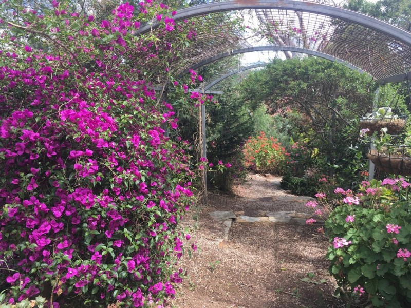 6 Hillside Court, Mount Barker SA 5251