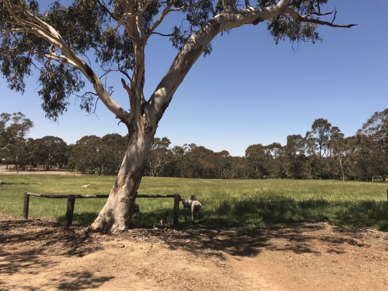 1845B Strathalbyn Road, Flaxley SA 5153