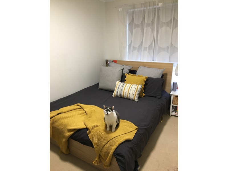 16 Raison Drive, Littlehampton SA 5250