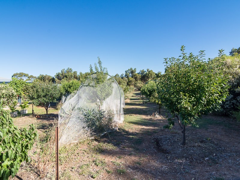 104 Trainers Way, Strathalbyn SA 5255