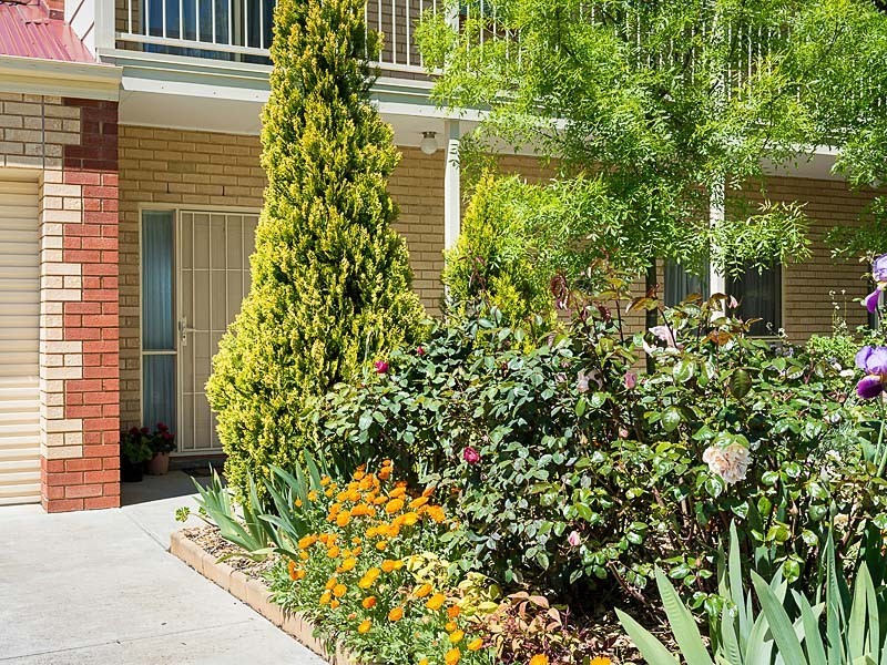 19 Silverwood Drive, Mount Barker SA 5251
