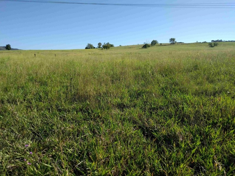 Ma Ma Creek QLD 4347