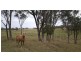 610 Upper Forest Springs Road, Forest Springs QLD 4361
