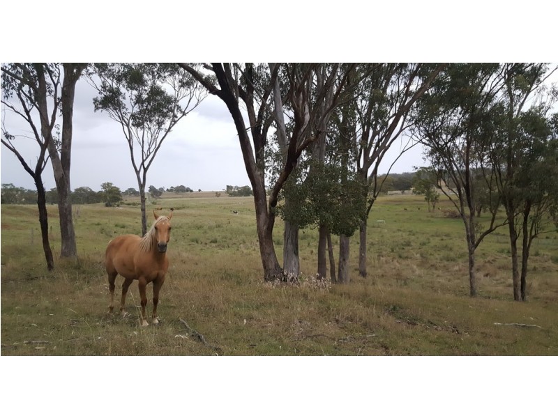 610 Upper Forest Springs Road, Forest Springs QLD 4361