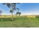610 Upper Forest Springs Road, Forest Springs QLD 4361