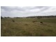 610 Upper Forest Springs Road, Forest Springs QLD 4361