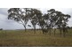 610 Upper Forest Springs Road, Forest Springs QLD 4361