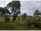 610 Upper Forest Springs Road, Forest Springs QLD 4361