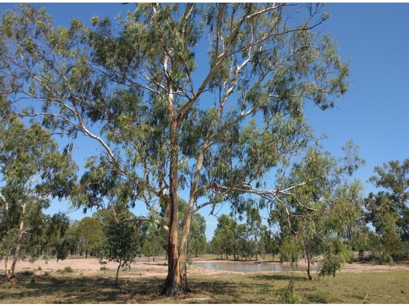 2227 Tara Kogan Road, Kogan QLD 4406