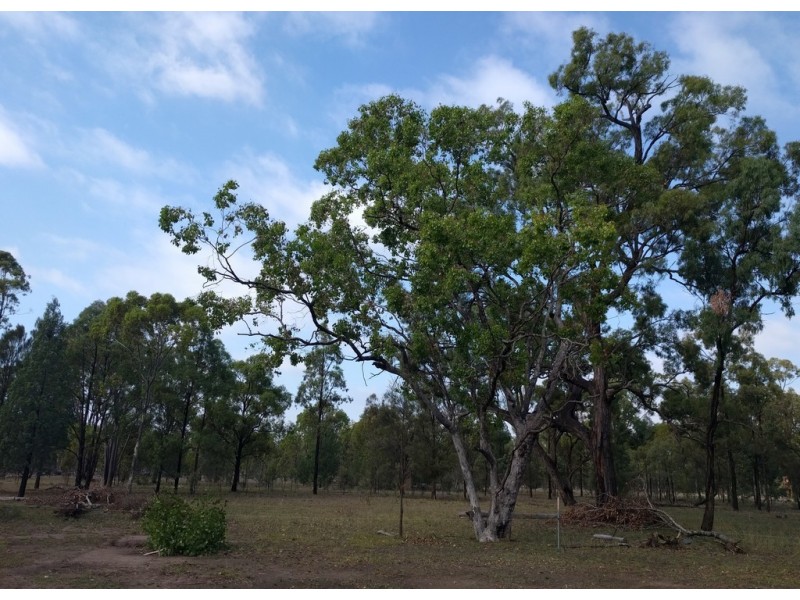 2227 Tara Kogan Road, Kogan QLD 4406