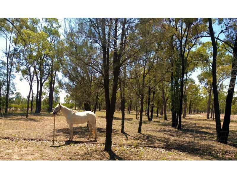 2354 Tara Kogan Road, Goranba QLD 4421