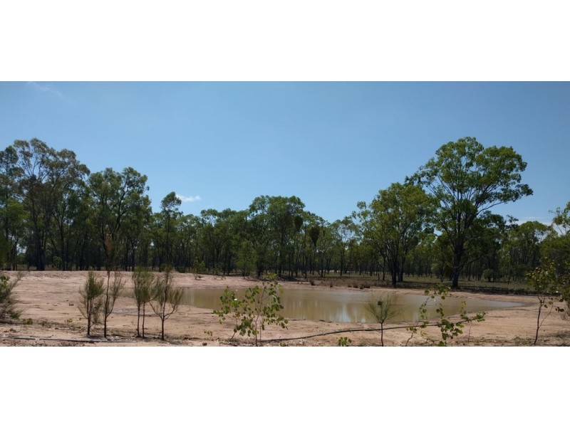 2354 Tara Kogan Road, Goranba QLD 4421