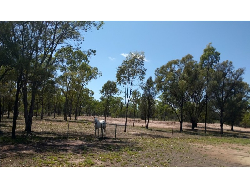 2354 Tara Kogan Road, Goranba QLD 4421