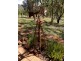 109 Sutcliffes Road, Upper Flagstone QLD 4344