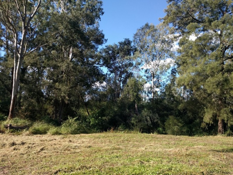 10 Parkridge Dr, Withcott QLD 4352