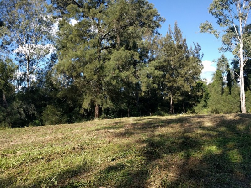 10 Parkridge Dr, Withcott QLD 4352