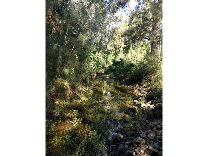 10 Parkridge Dr, Withcott QLD 4352