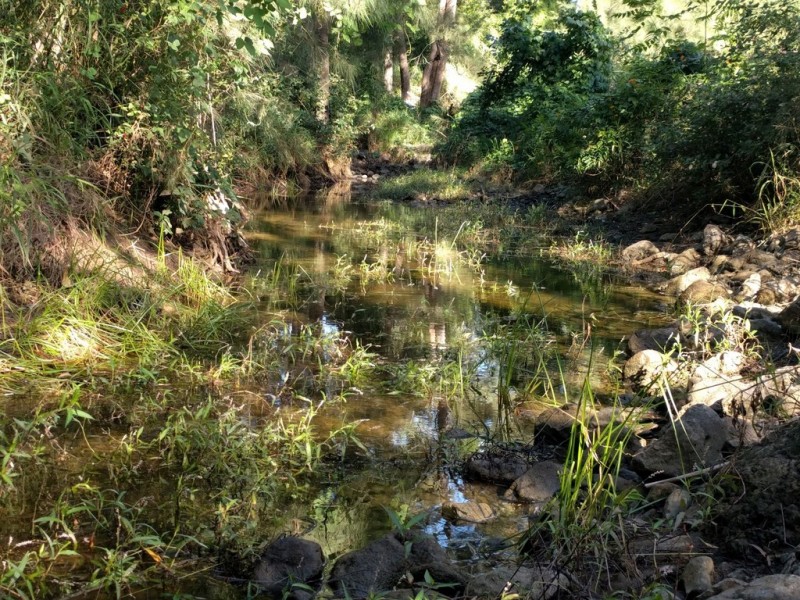 10 Parkridge Dr, Withcott QLD 4352