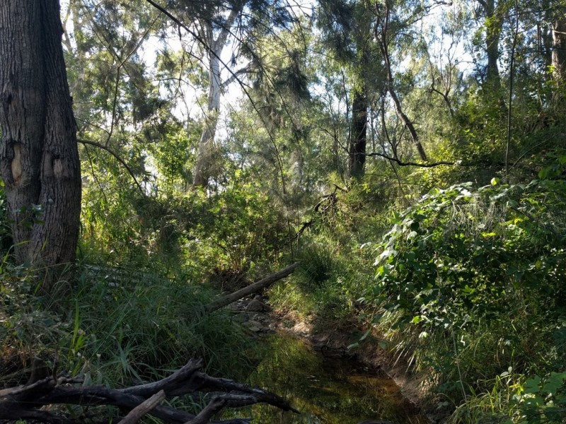 10 Parkridge Dr, Withcott QLD 4352