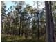 333 Carpendale Road, Carpendale QLD 4344