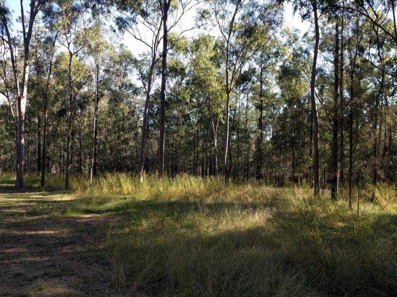 333 Carpendale Road, Carpendale QLD 4344