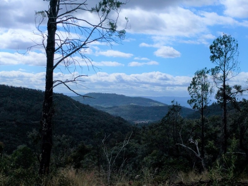 lot 5 Sawpit Gully Rd, Stockyard QLD 4344