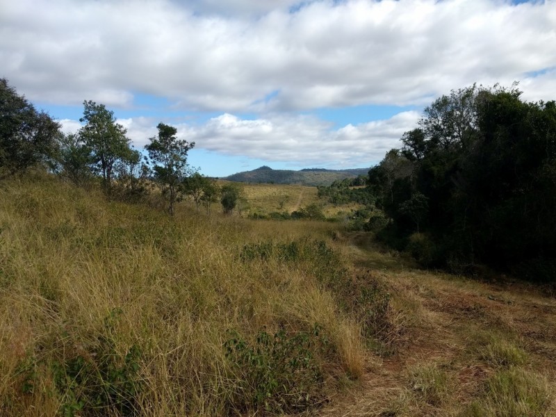 lot 5 Sawpit Gully Rd, Stockyard QLD 4344