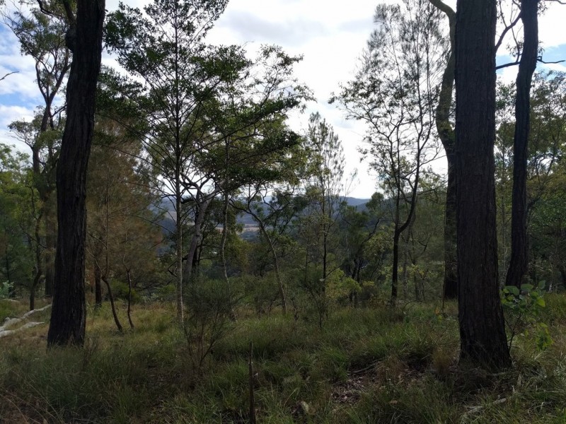 lot 5 Sawpit Gully Rd, Stockyard QLD 4344