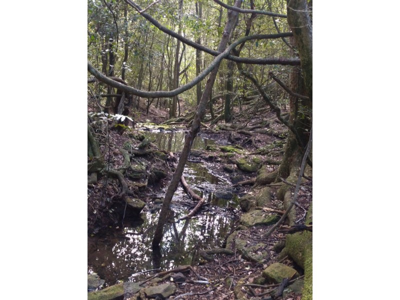 lot 5 Sawpit Gully Rd, Stockyard QLD 4344