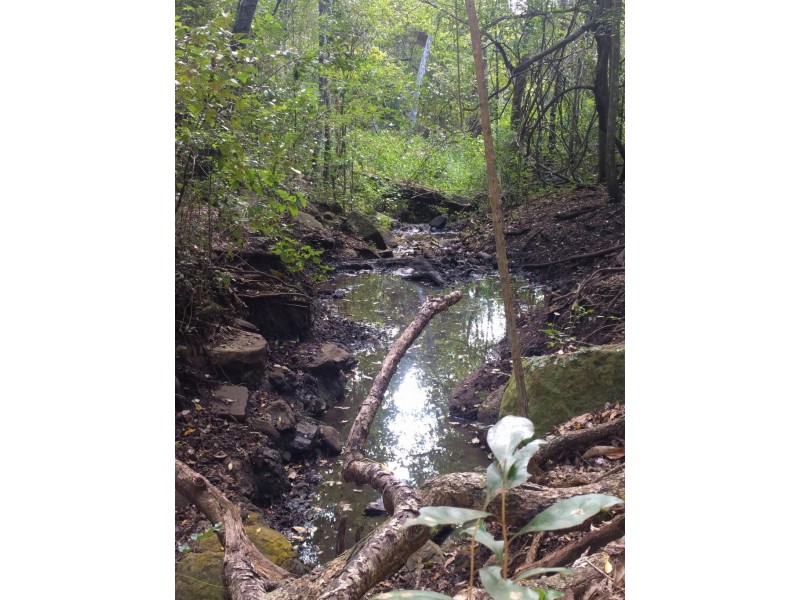 lot 5 Sawpit Gully Rd, Stockyard QLD 4344