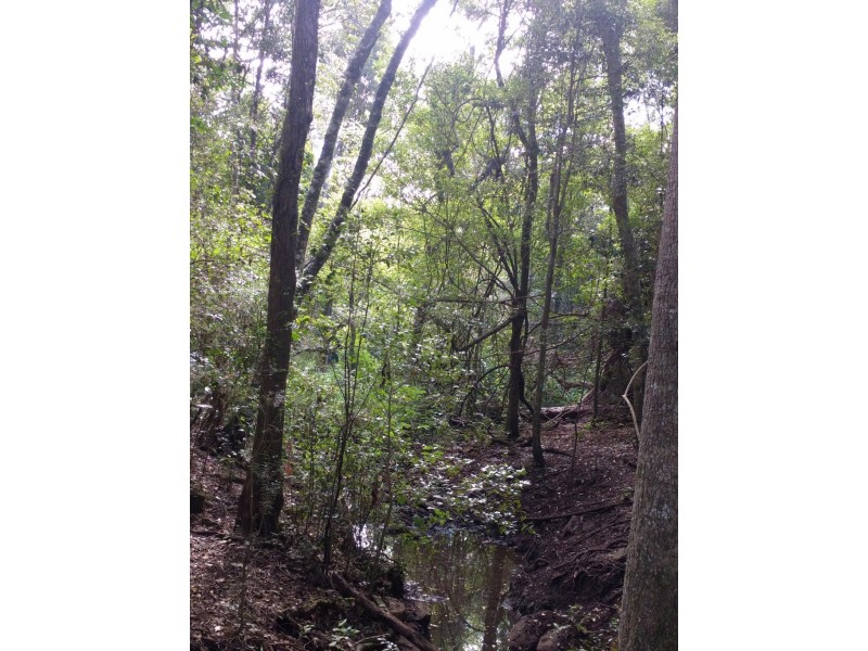 lot 5 Sawpit Gully Rd, Stockyard QLD 4344