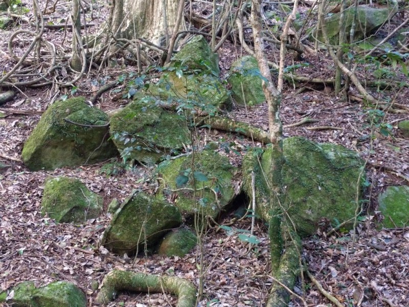 lot 5 Sawpit Gully Rd, Stockyard QLD 4344