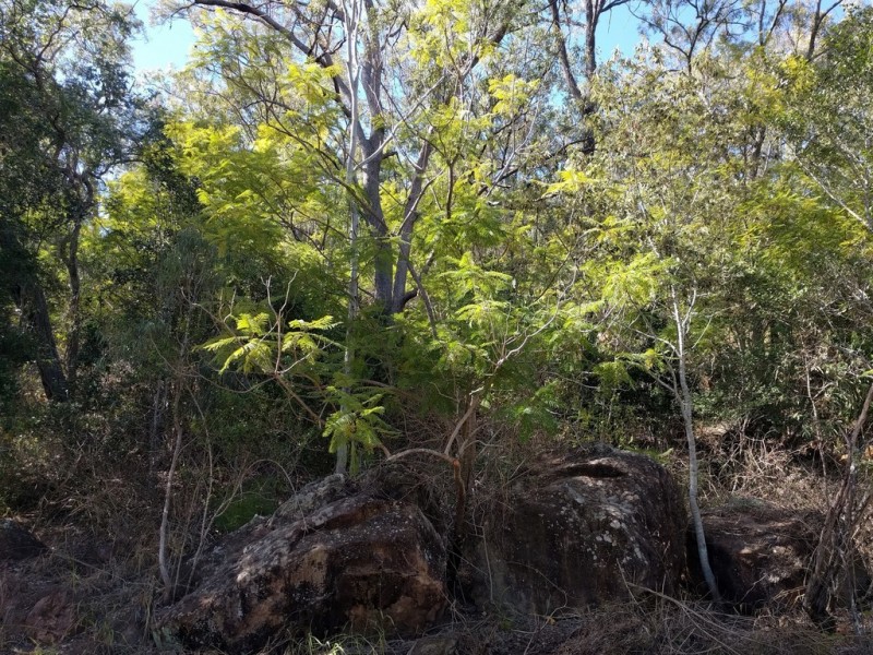 lot 5 Sawpit Gully Rd, Stockyard QLD 4344