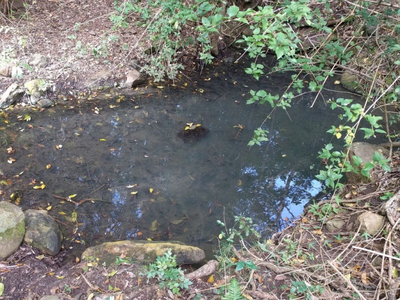 lot 5 Sawpit Gully Rd, Stockyard QLD 4344