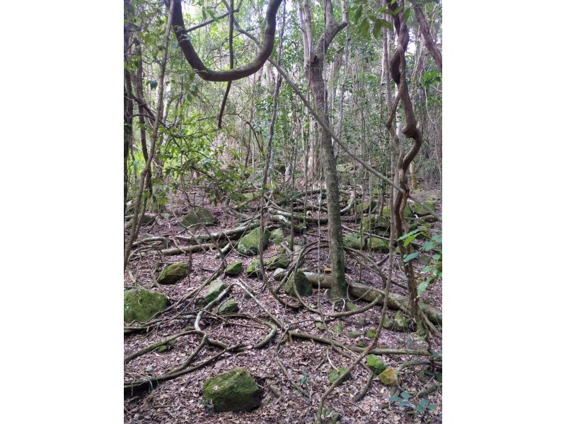 lot 5 Sawpit Gully Rd, Stockyard QLD 4344