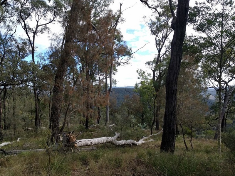 lot 5 Sawpit Gully Rd, Stockyard QLD 4344