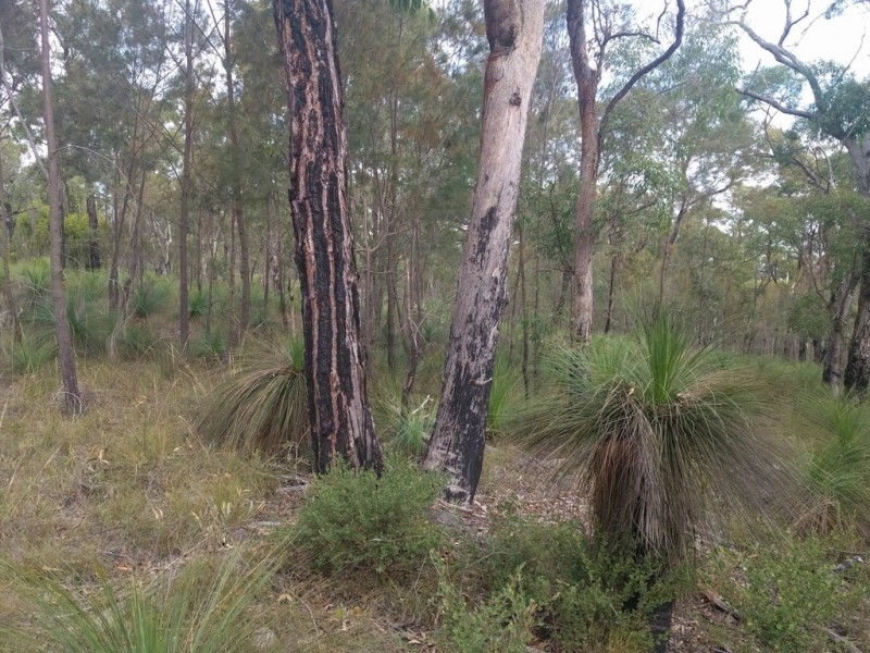 260 Egert Road, Stockyard QLD 4344