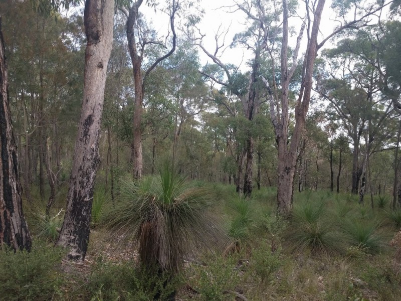 260 Egert Road, Stockyard QLD 4344