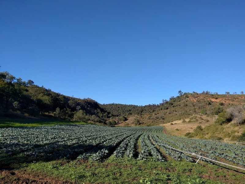 Junction View QLD 4343