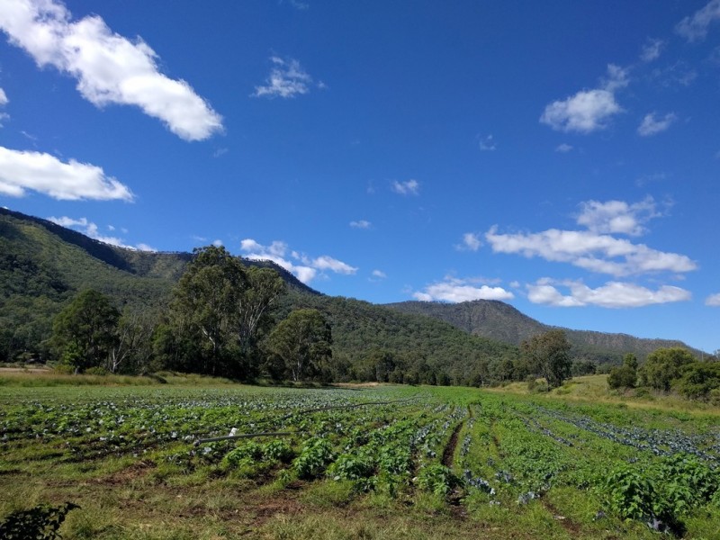 Junction View QLD 4343