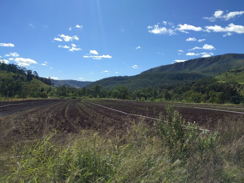 Junction View QLD 4343