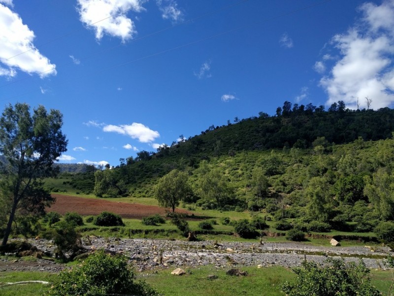 Junction View QLD 4343