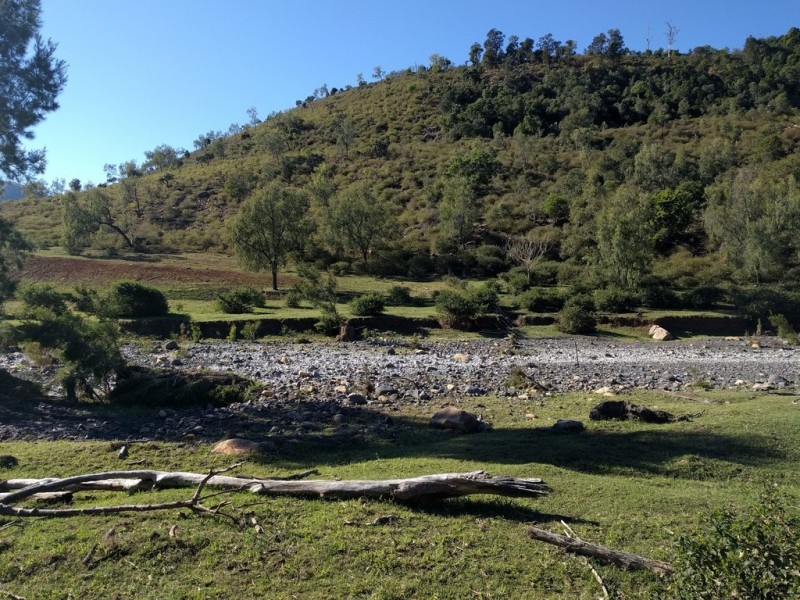 Junction View QLD 4343