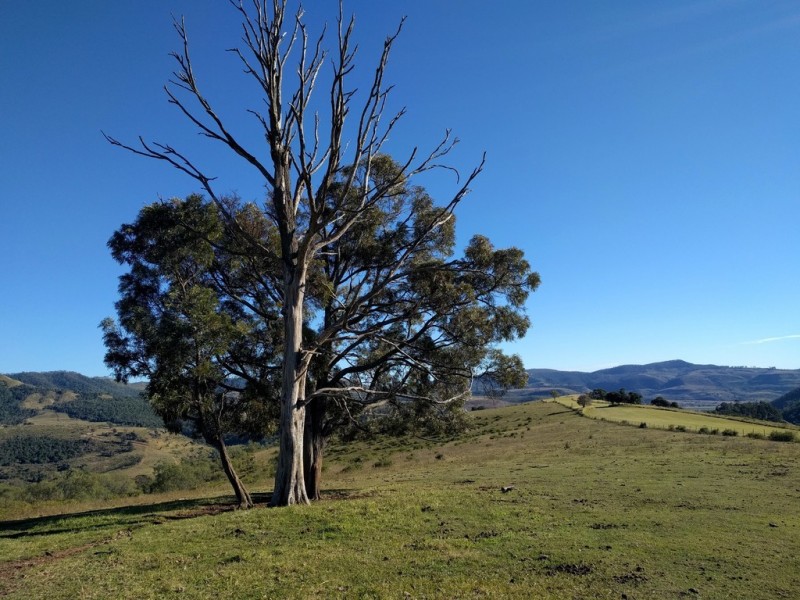 Junction View QLD 4343