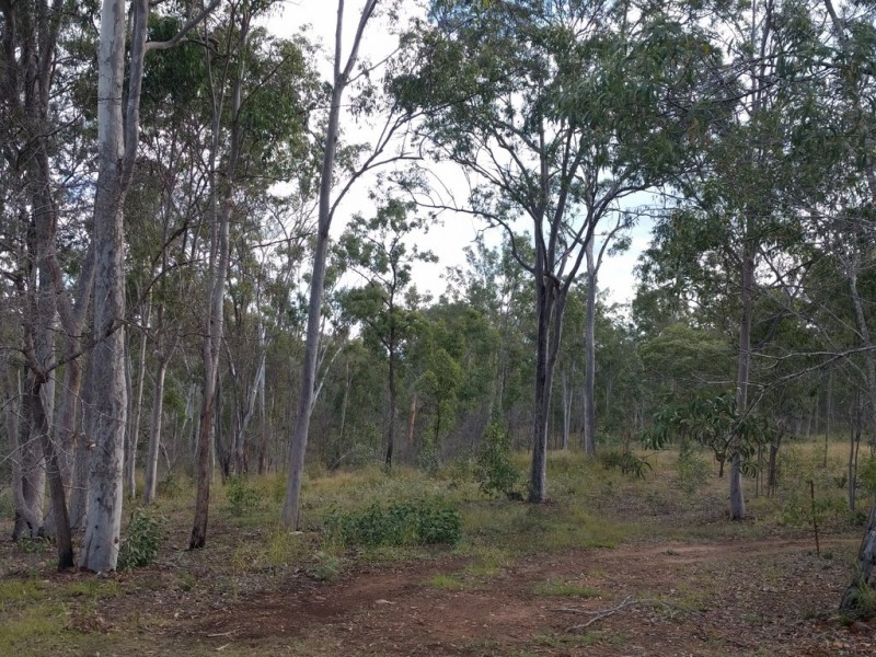 78 Paradise Creek Road, Murphys Creek QLD 4352