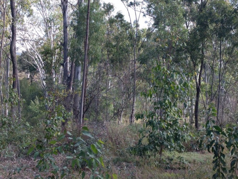 78 Paradise Creek Road, Murphys Creek QLD 4352