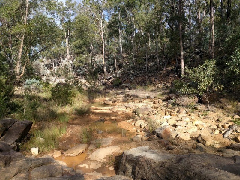 78 Paradise Creek Road, Murphys Creek QLD 4352
