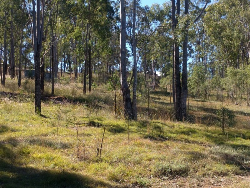 165 Koreelah Street, Upper Lockyer QLD 4352
