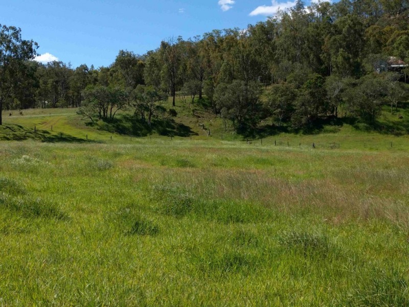 77 Wallaces Road, Withcott QLD 4352